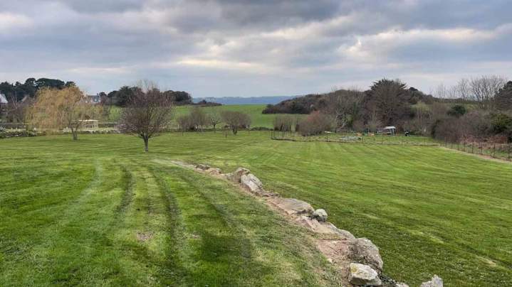 Tonte de gazon Pluduno