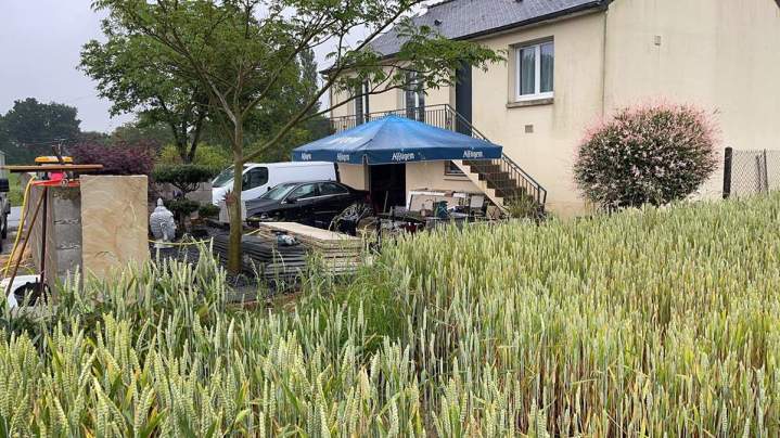 Aménagement de jardin Pluduno 