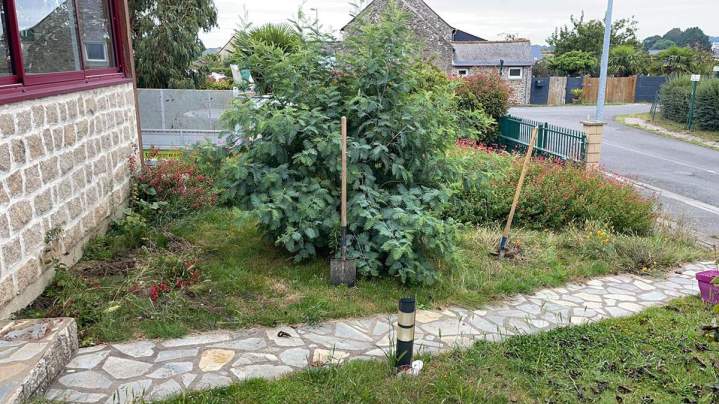 Aménagement de massif Pluduno